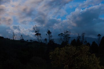 Mountain view