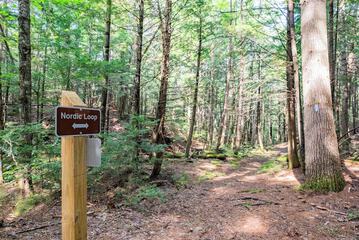 Hiking