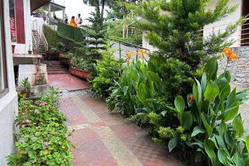 Photo 31