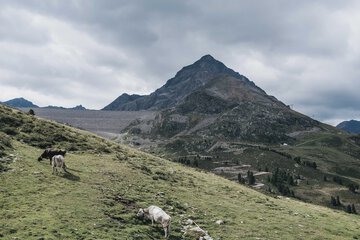 Land view from property