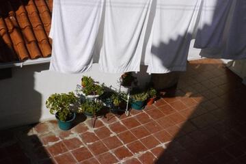 Photo 61