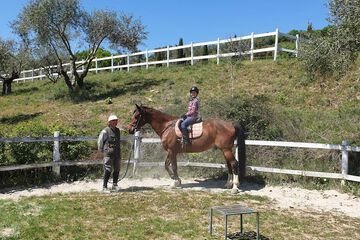 Horseback riding