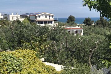 Terrace or patio
