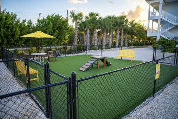 Pet-friendly amenities