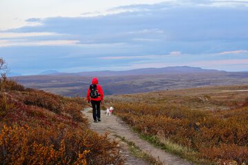 Hiking