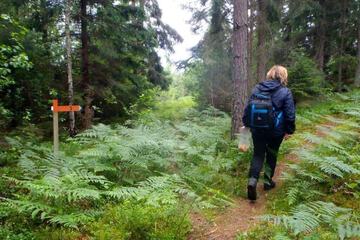 Hiking