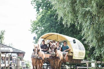 Horseback riding
