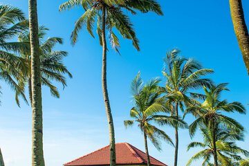 Beach/ocean view