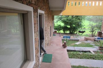 Garden view
