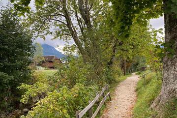 Photo 48