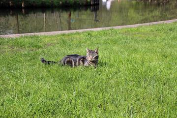 Photo 25