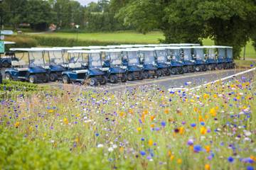 Golf cart