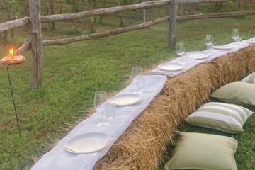 Vineyard