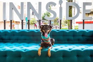 Pet-friendly