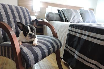 Pet-friendly
