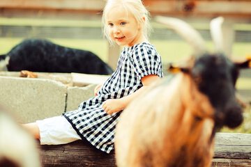 Children's activities