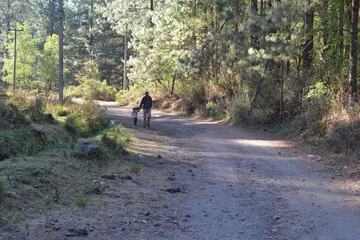 Ecotours