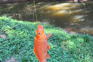 Fishing