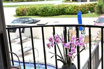 Terrace/Patio 109 of 118