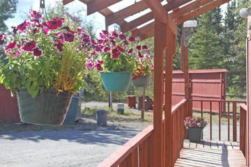 Photo 45