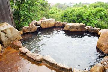 Natural pool