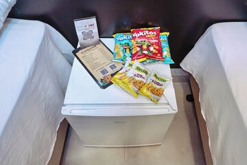 Mini-refrigerator