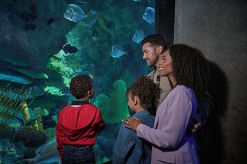 Children's activities