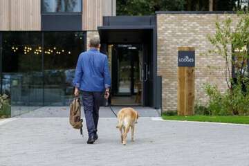 Pet-friendly