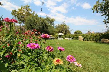 Hotel Exterior 459 of 461