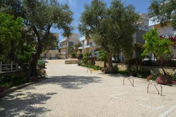 Photo 43