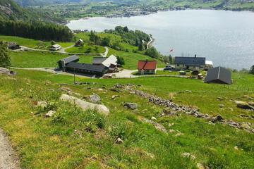 Photo 20