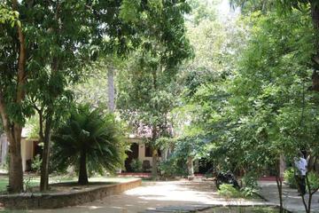 Photo 43