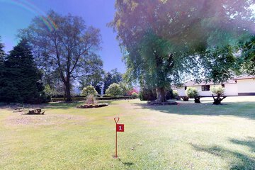 Mini-golf