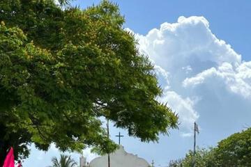Photo 50