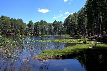 Lake