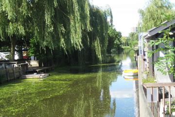 Photo 30