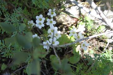 Photo 84