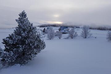 Photo 41