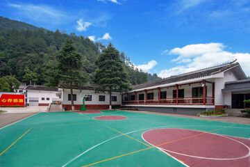 Basketball court