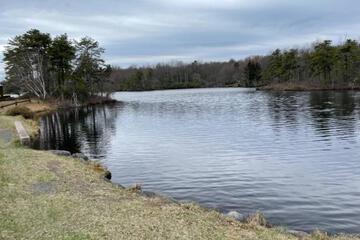 Photo 41