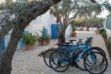 Bicycling