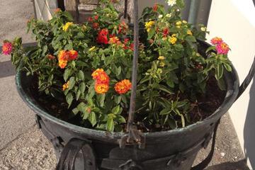 Photo 27