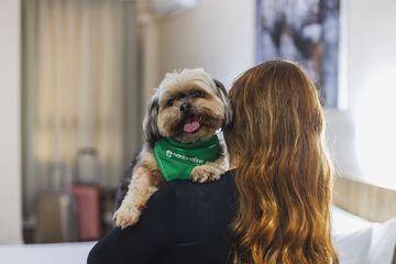 Pet-friendly amenities