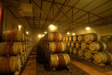Winery