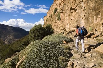 Hiking