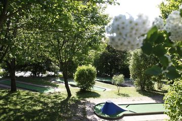 Mini-golf