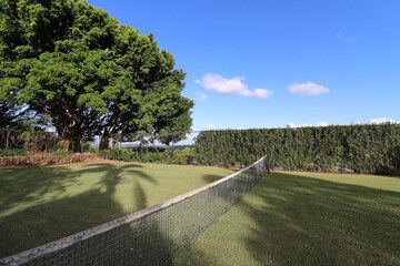 Tennis court