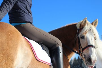 Horseback riding