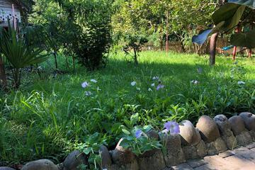 Photo 32