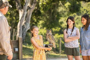 Children's activities